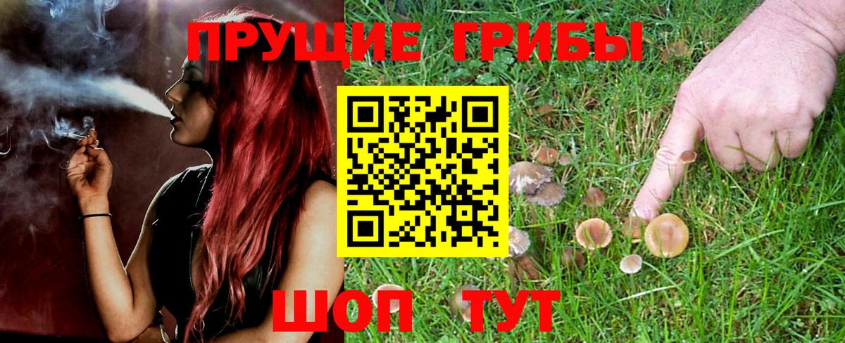 Псилоцибиновые грибы мухоморы  Вход с VPN  Воткинск 